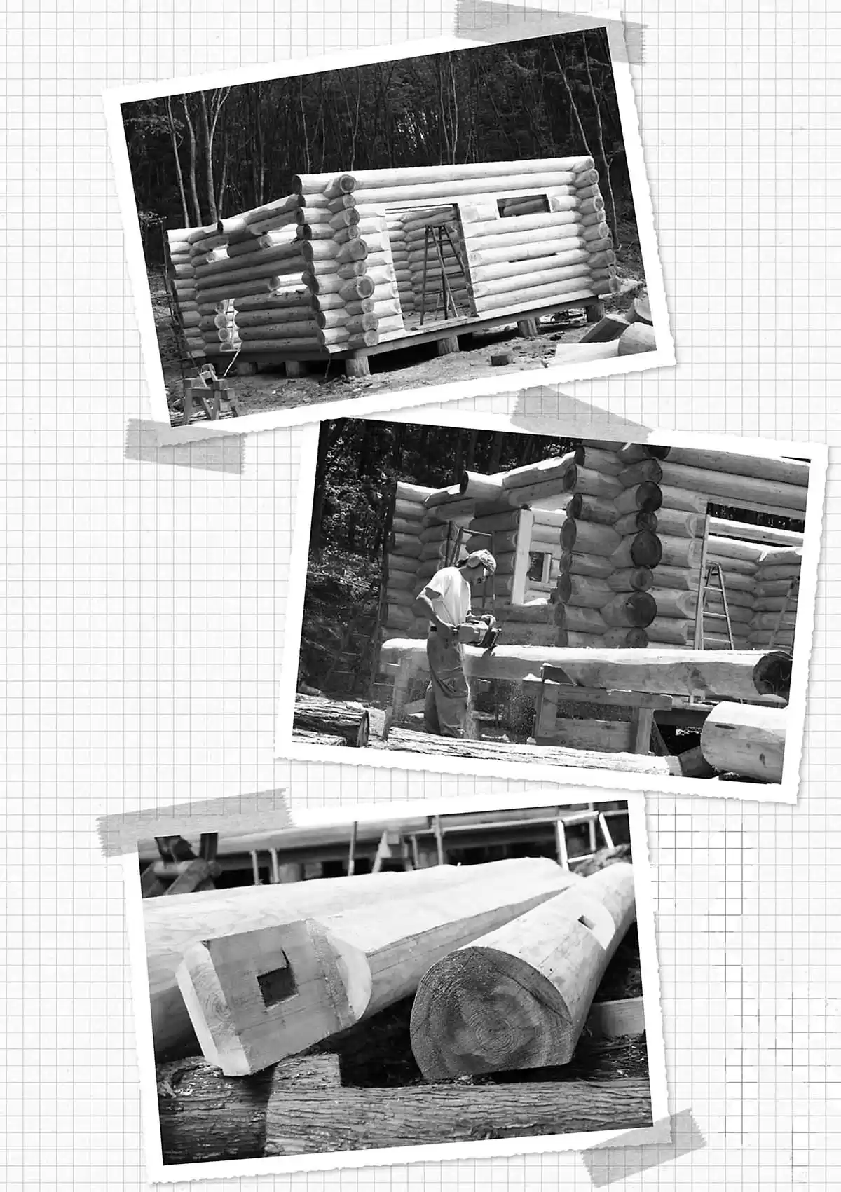 Ma vie dans les bois Volume 1 page 66