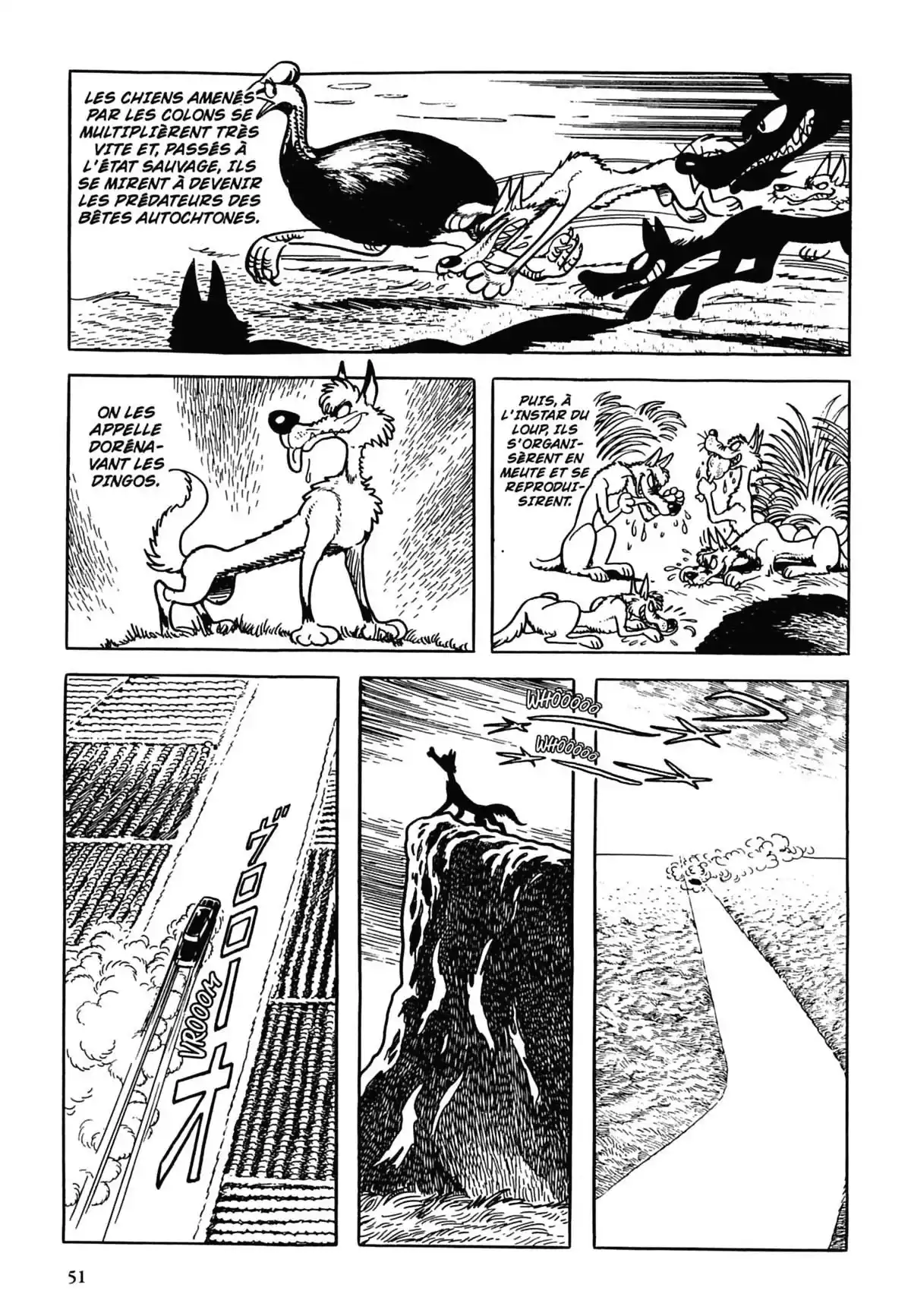 Black Jack Volume 3 page 50