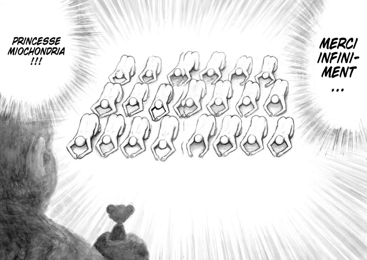 Mitochon Armageddon – À la recherche des boules du dragon Volume 3 page 56