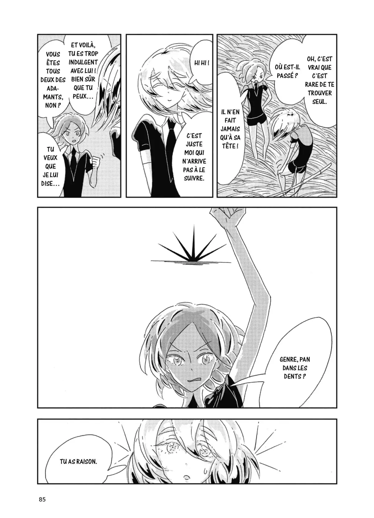 L’Ère des Cristaux Volume 1 page 84