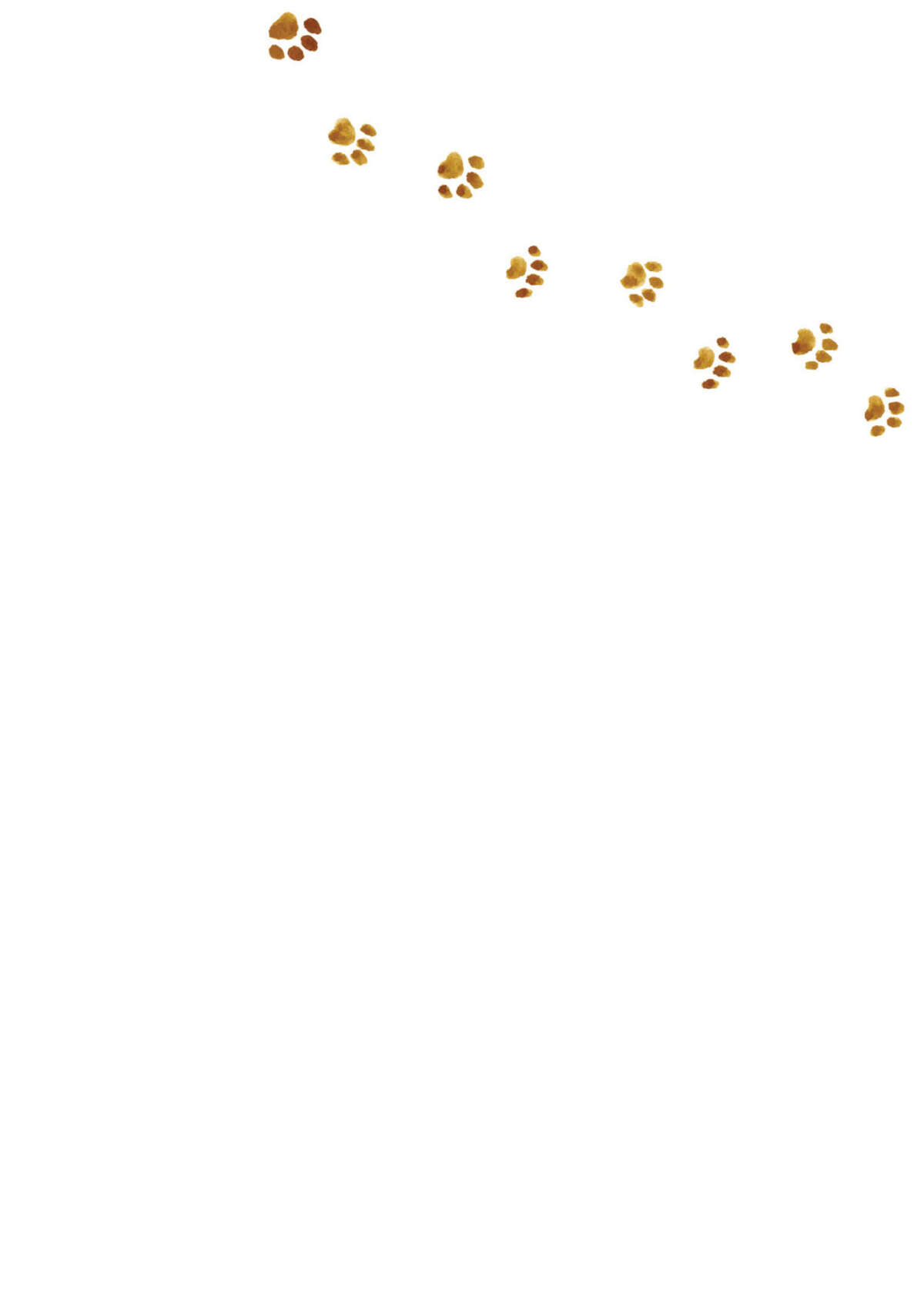Le vieil homme et son chat Volume 5 page 81