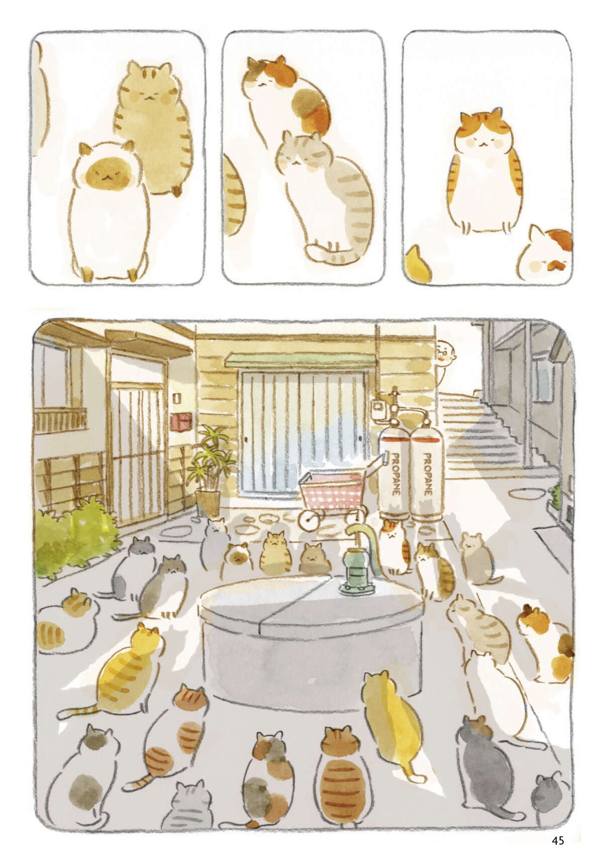 Le vieil homme et son chat Volume 1 page 46