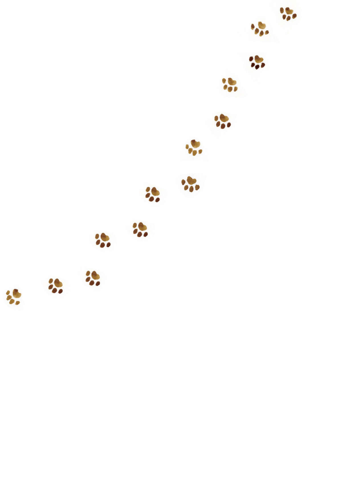 Le vieil homme et son chat Volume 1 page 61