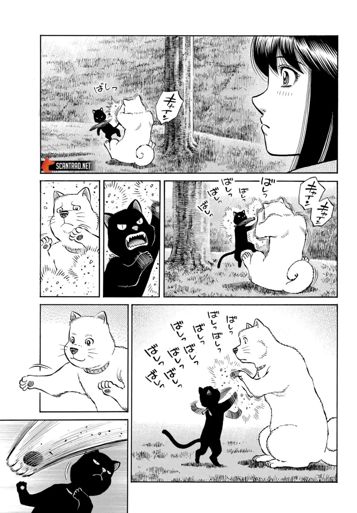 Hajime no Ippo Chapitre 1412 page 3