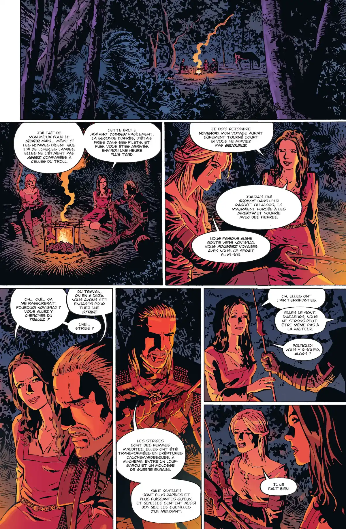 The Witcher Volume 1 page 10