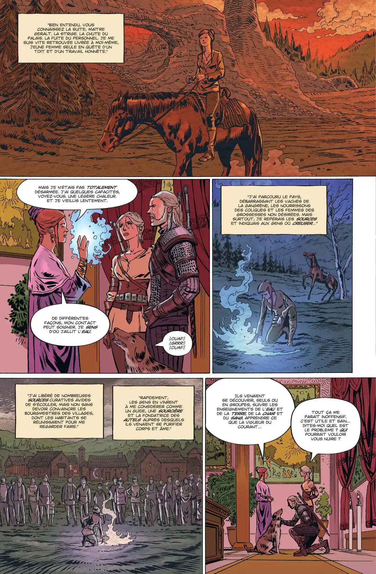 The Witcher Volume 1 page 43