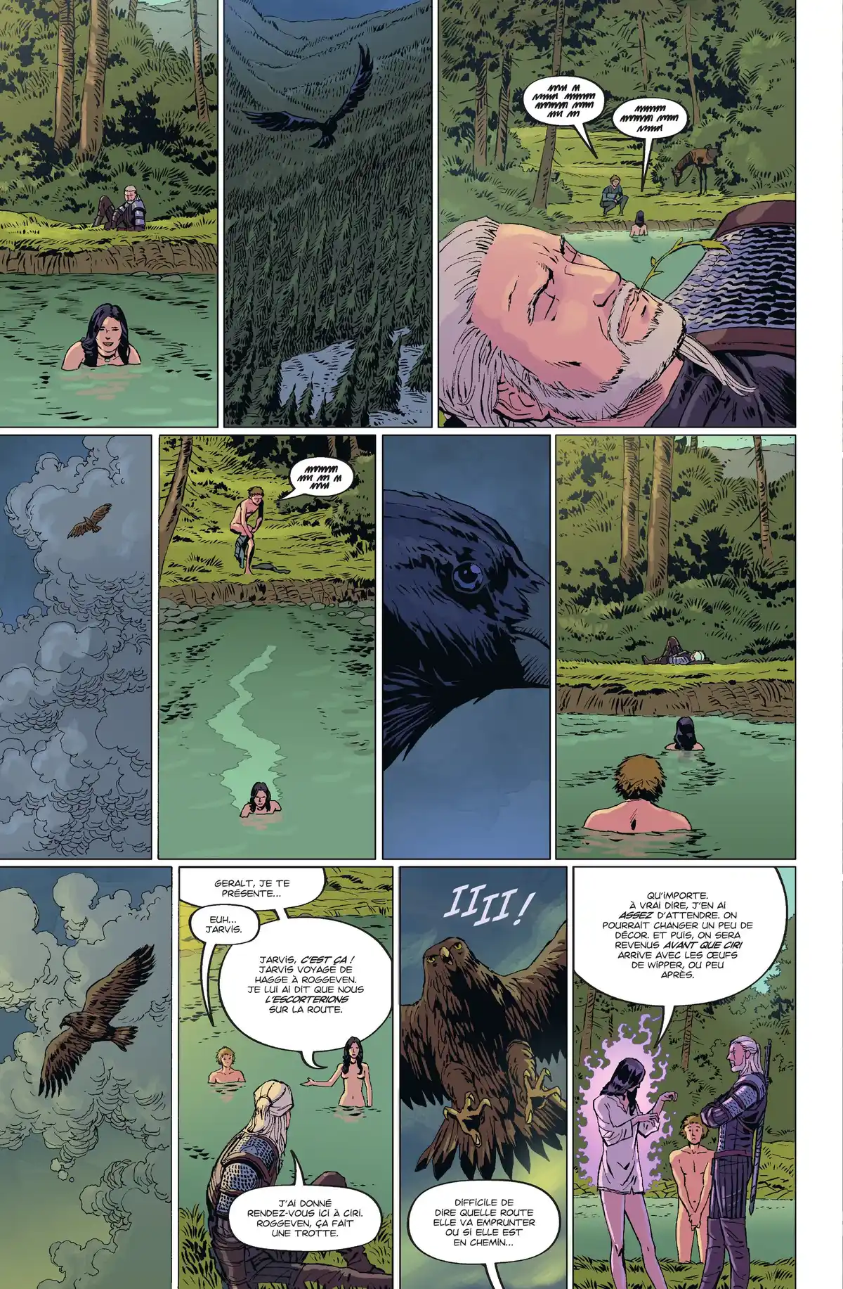 The Witcher Volume 1 page 91