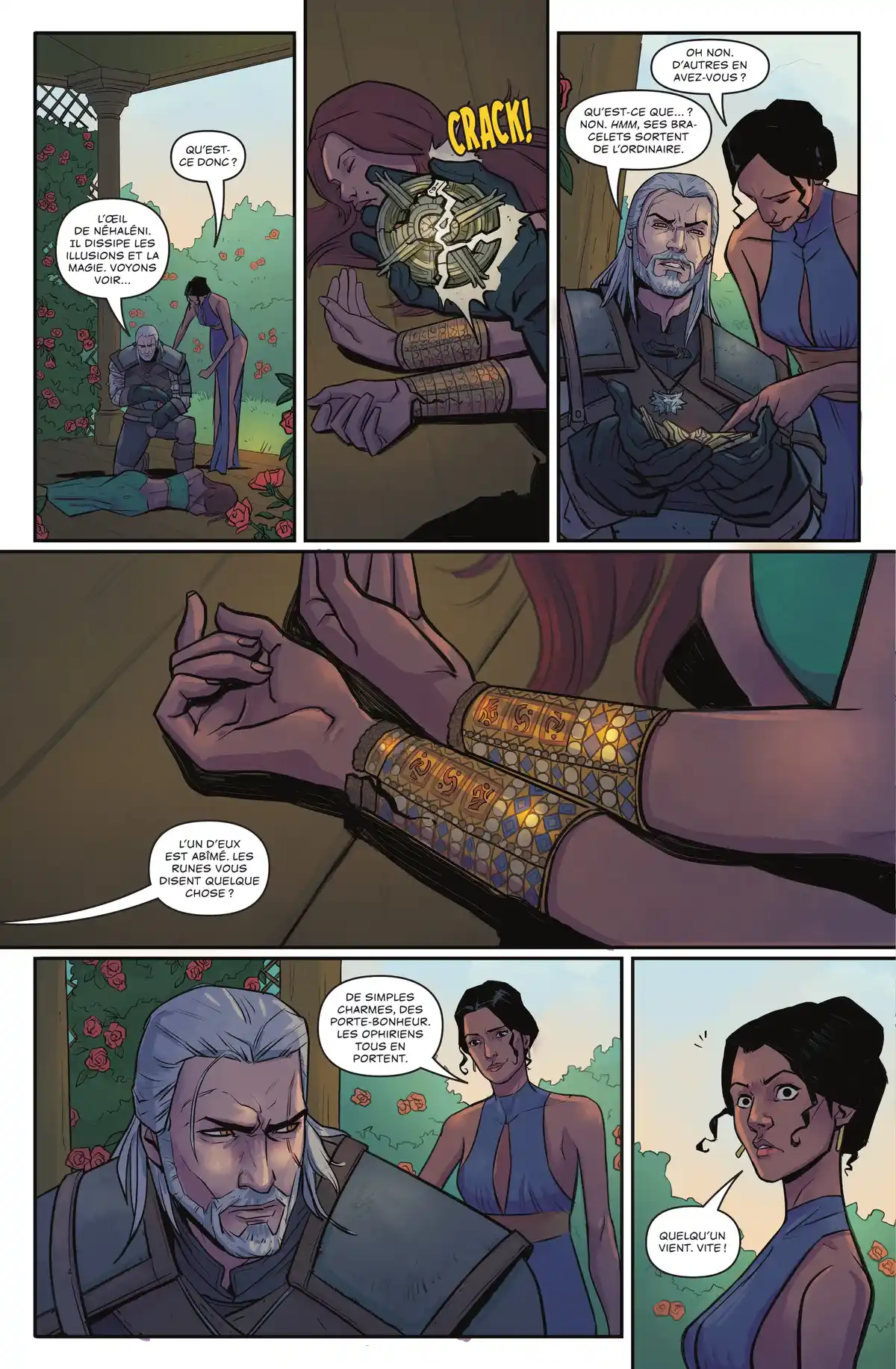 The Witcher Volume 2 page 48