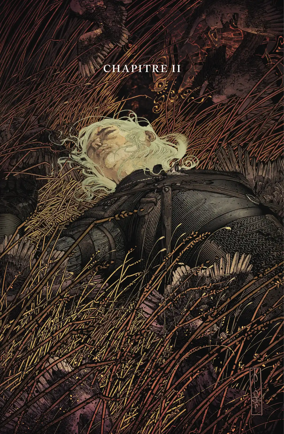 The Witcher Volume 3 page 27