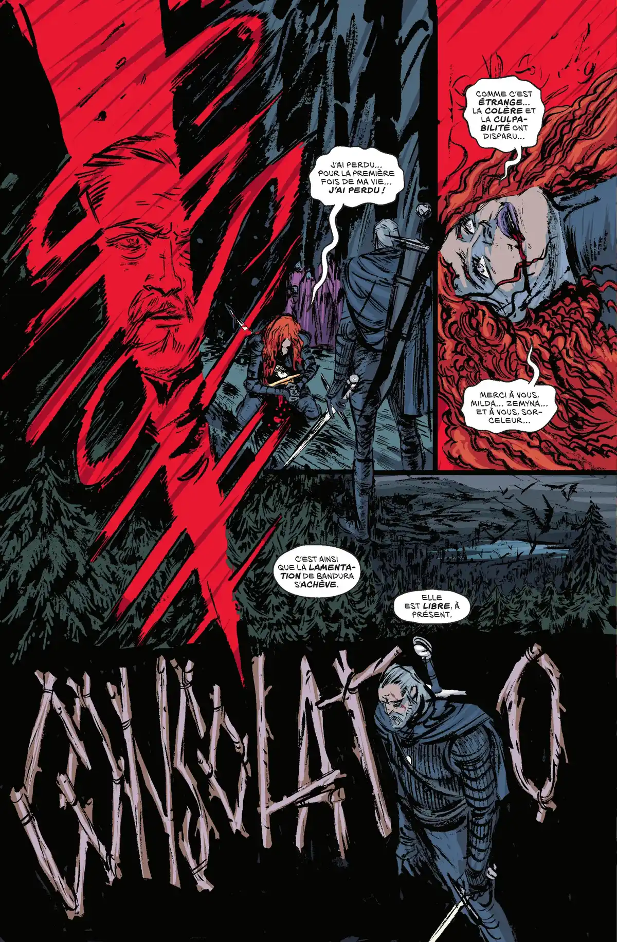 The Witcher Volume 4 page 45