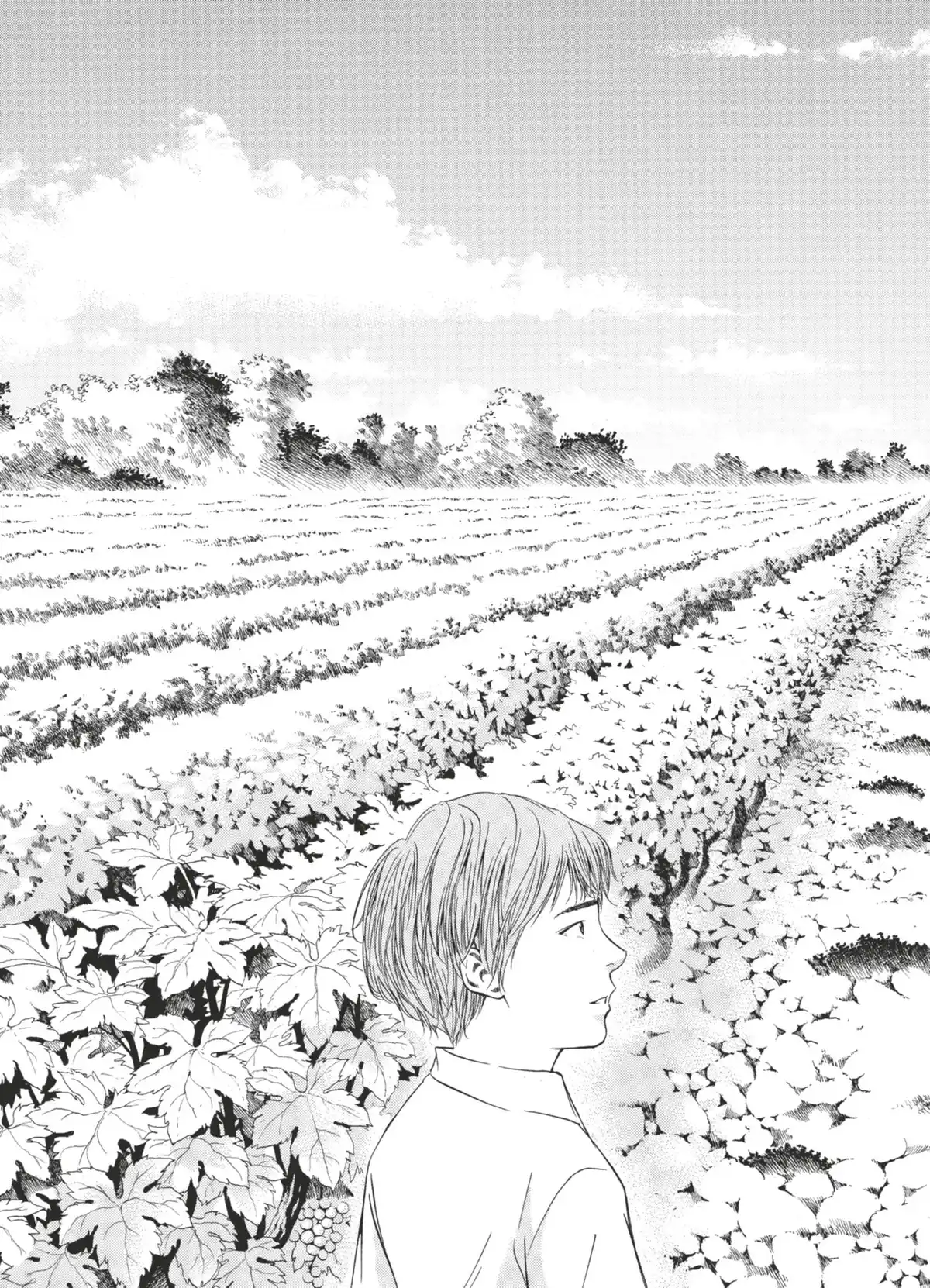 Les Gouttes de Dieu Volume 11 page 144