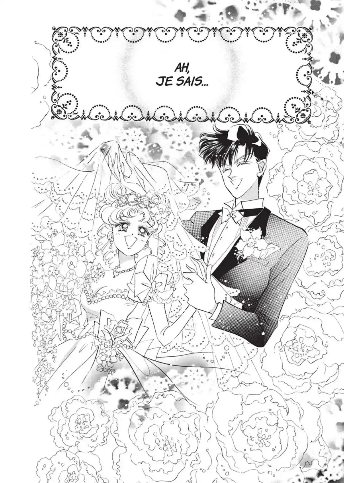 Sailor Moon – Eternal Edition Volume 5 page 12