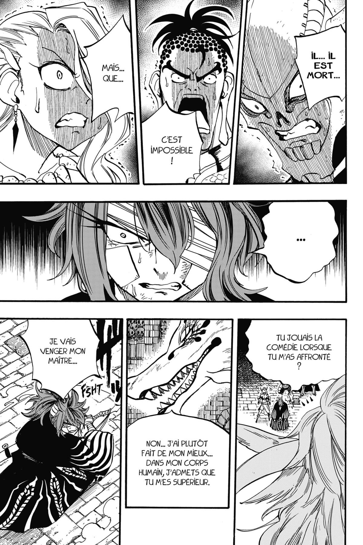 Fairy Tail – 100 Years Quest Volume 11 page 6