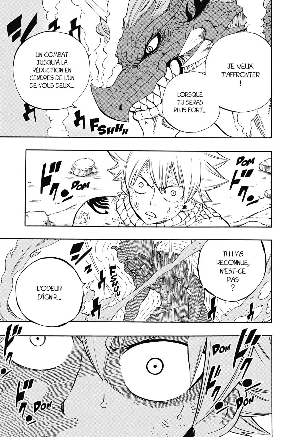 Fairy Tail – 100 Years Quest Volume 3 page 41
