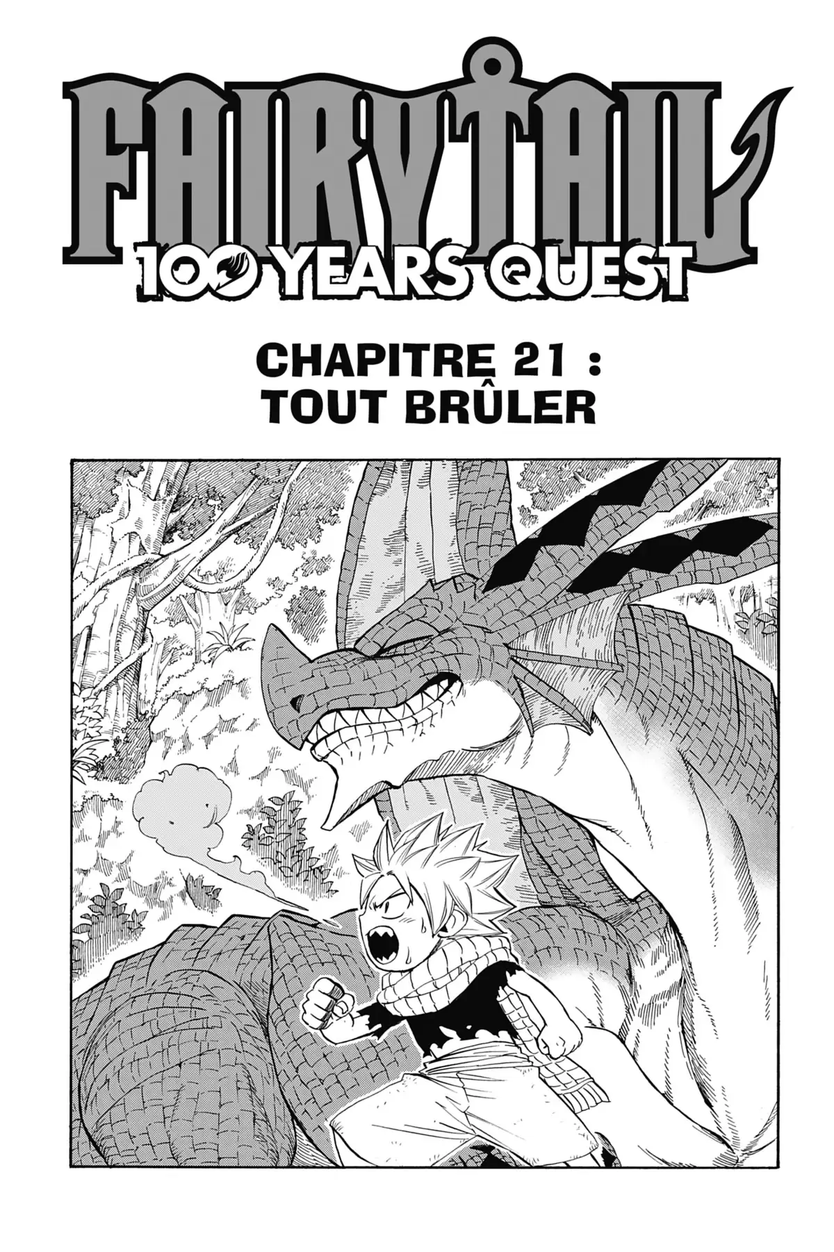 Fairy Tail – 100 Years Quest Volume 3 page 43