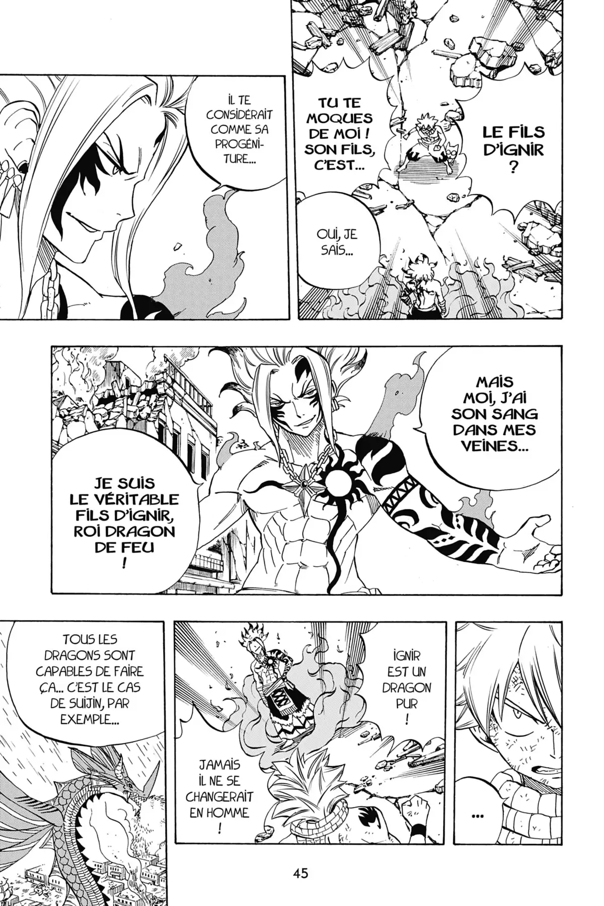 Fairy Tail – 100 Years Quest Volume 3 page 45