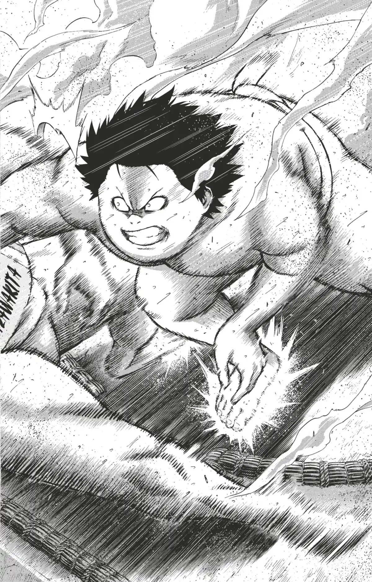 Hinomaru Sumo Volume 12 page 41