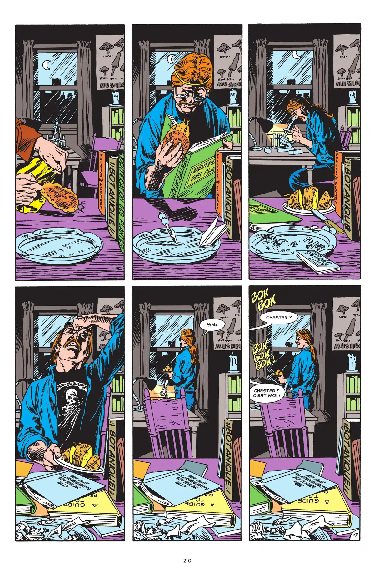 Alan Moore Presente Swamp Thing Volume 2 page 202