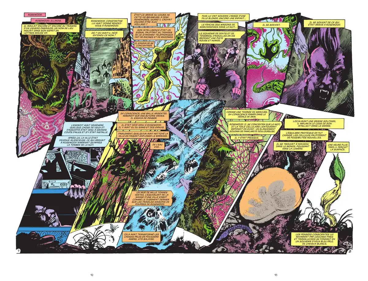 Alan Moore Presente Swamp Thing Volume 2 page 87