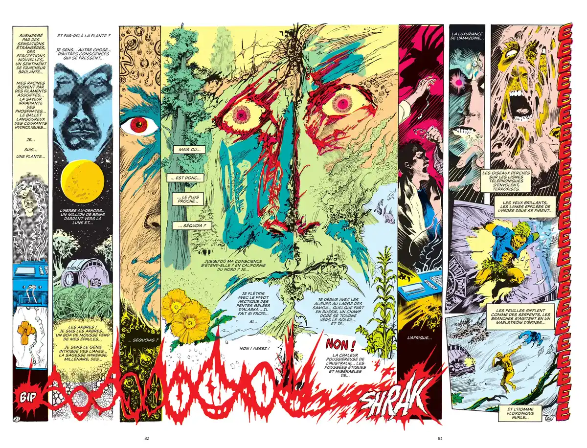 Alan Moore Presente Swamp Thing Volume 1 page 76