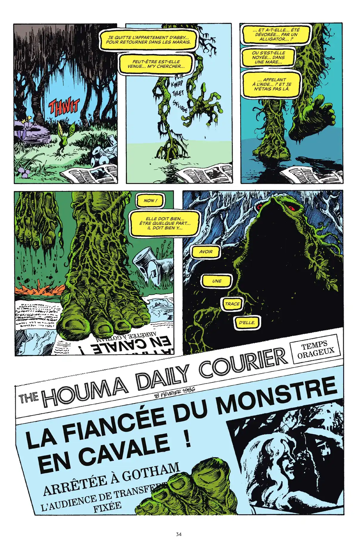 Alan Moore Presente Swamp Thing Volume 3 page 28