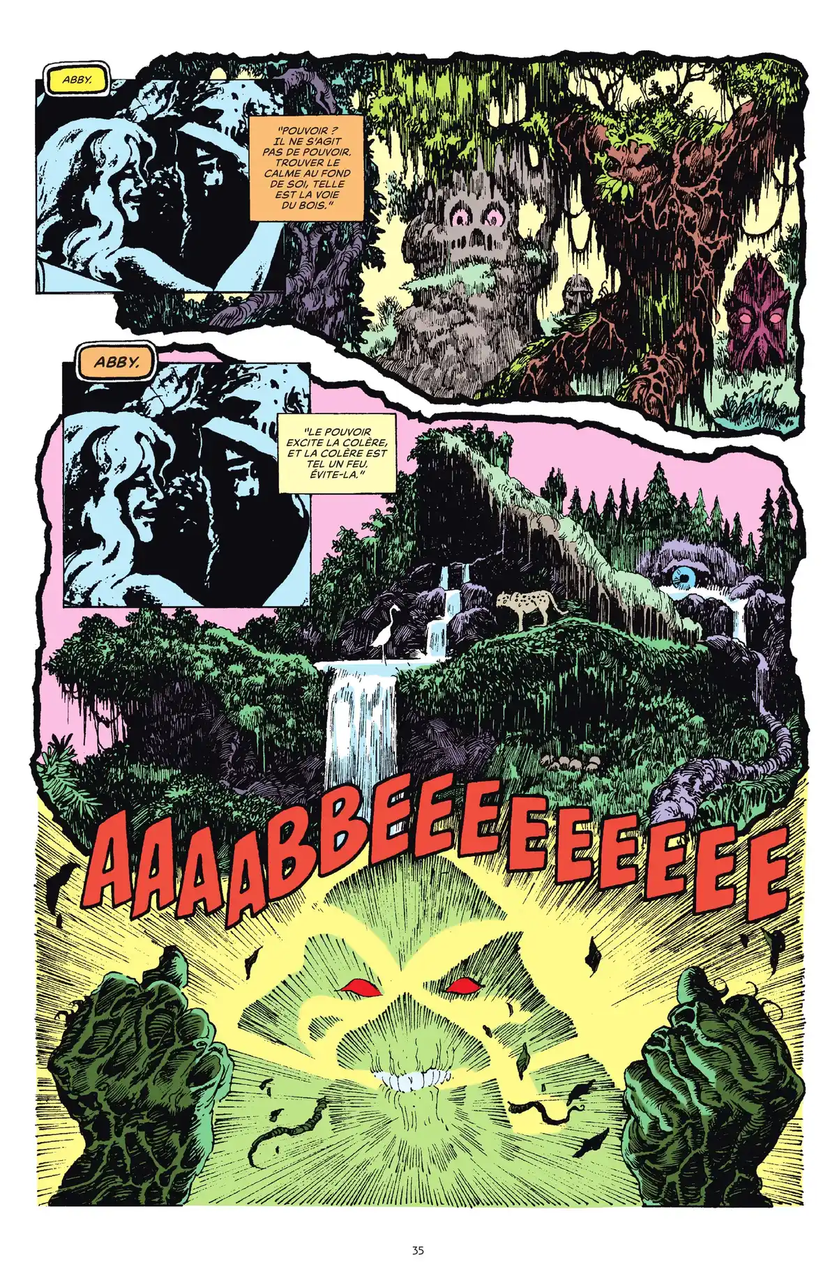 Alan Moore Presente Swamp Thing Volume 3 page 29