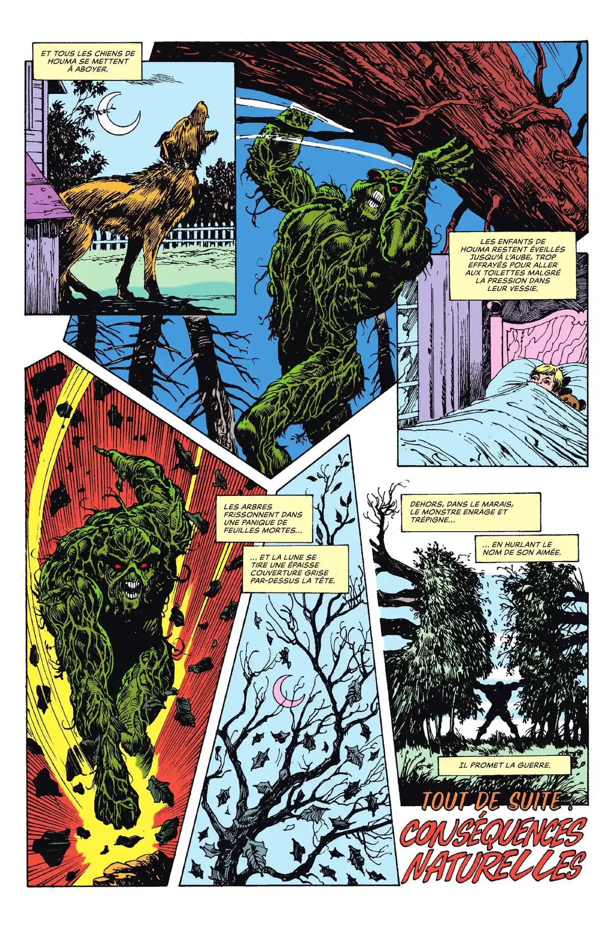 Alan Moore Presente Swamp Thing Volume 3 page 30