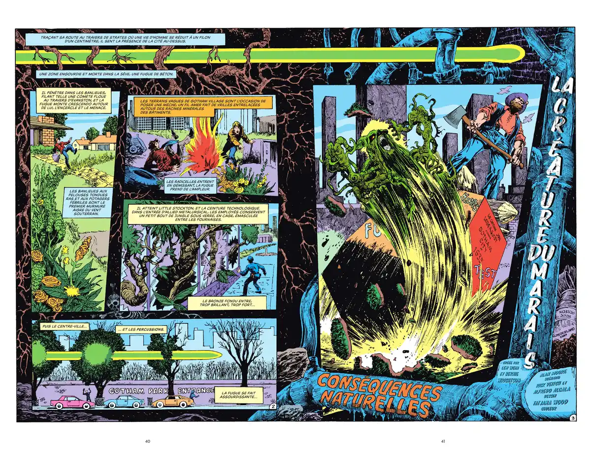 Alan Moore Presente Swamp Thing Volume 3 page 34