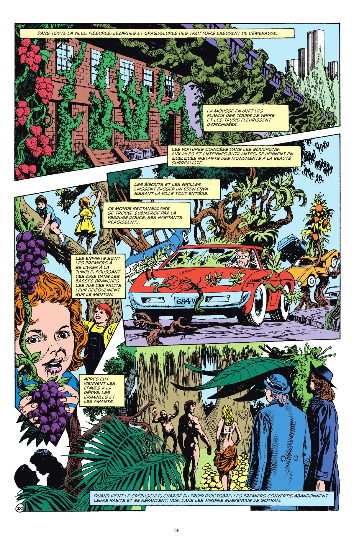 Alan Moore Presente Swamp Thing Volume 3 page 51