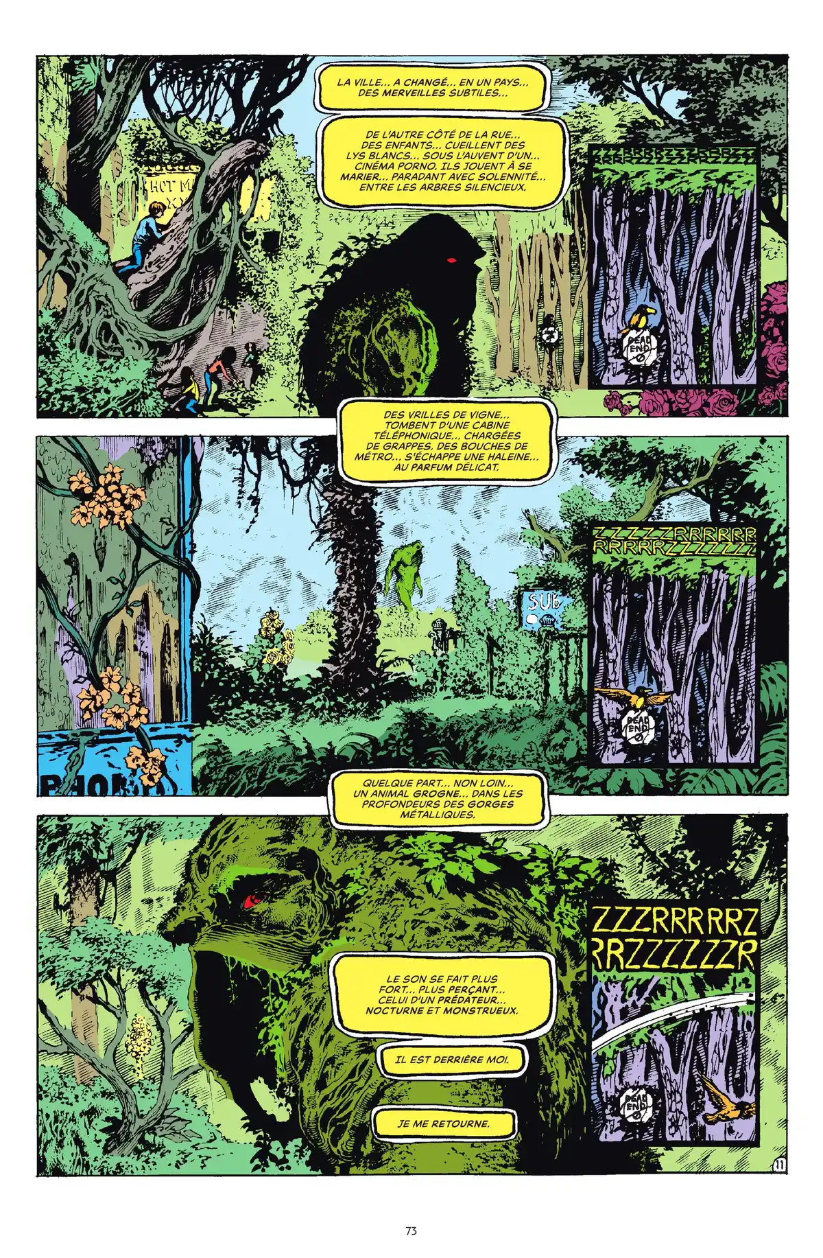 Alan Moore Presente Swamp Thing Volume 3 page 66