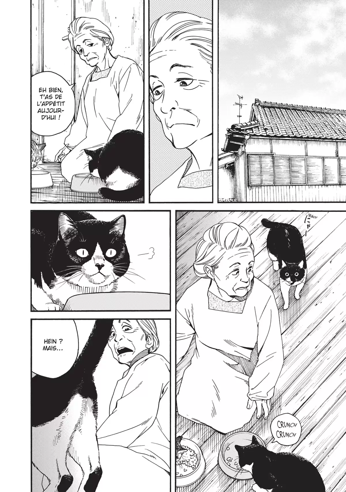 La fille du temple aux chats Volume 3 page 61