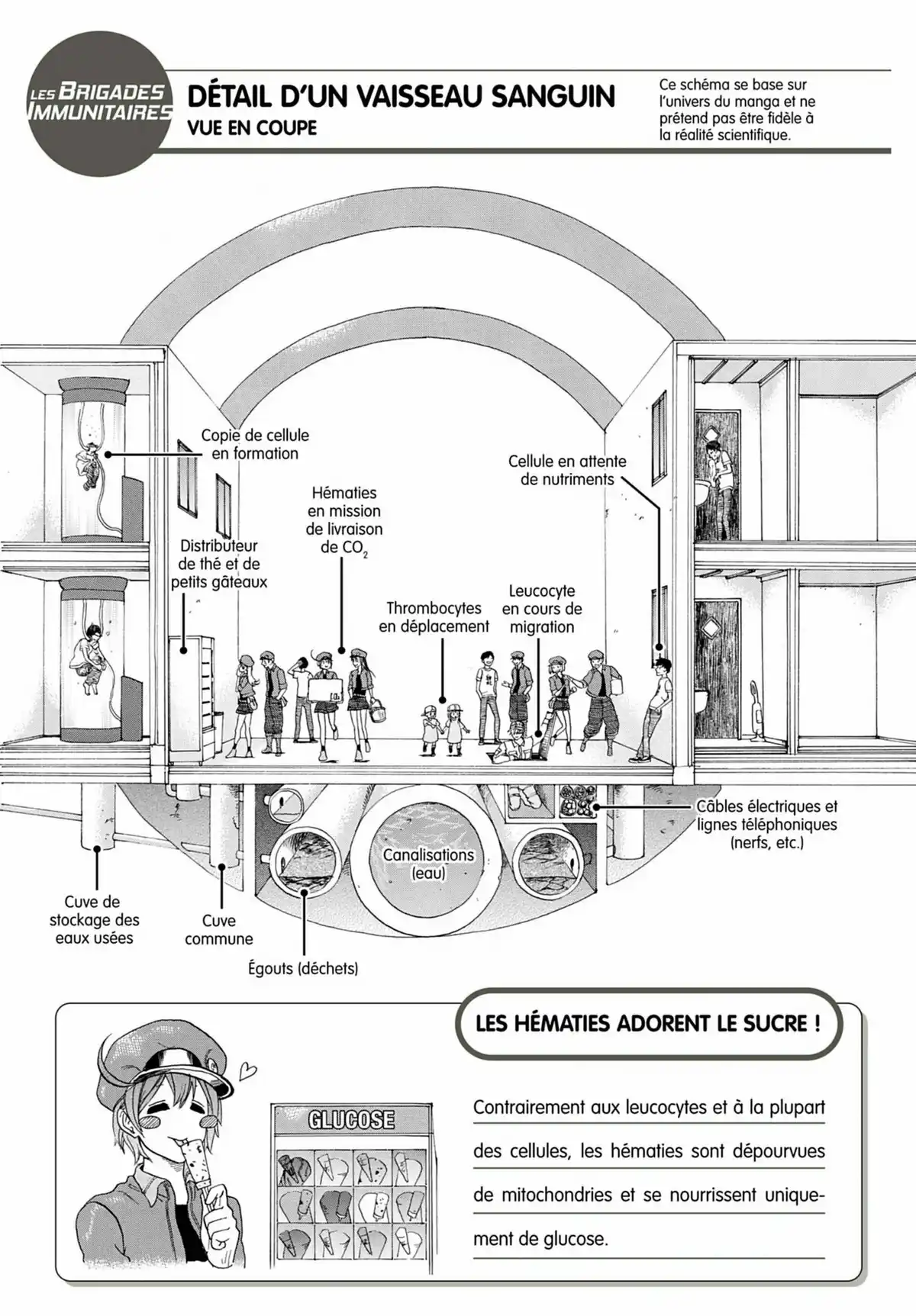 Les Brigades Immunitaires Volume 3 page 28