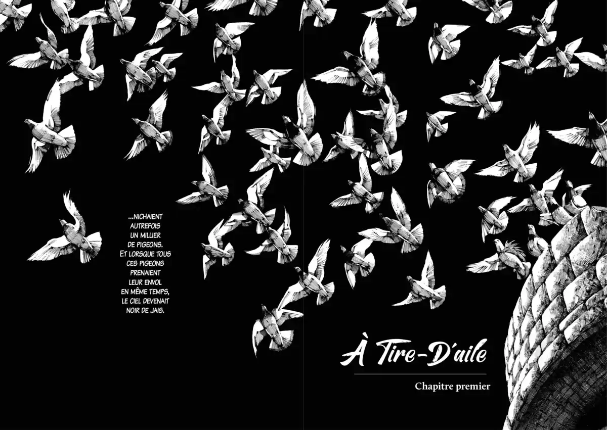 À tire-d’aile Volume 1 page 5