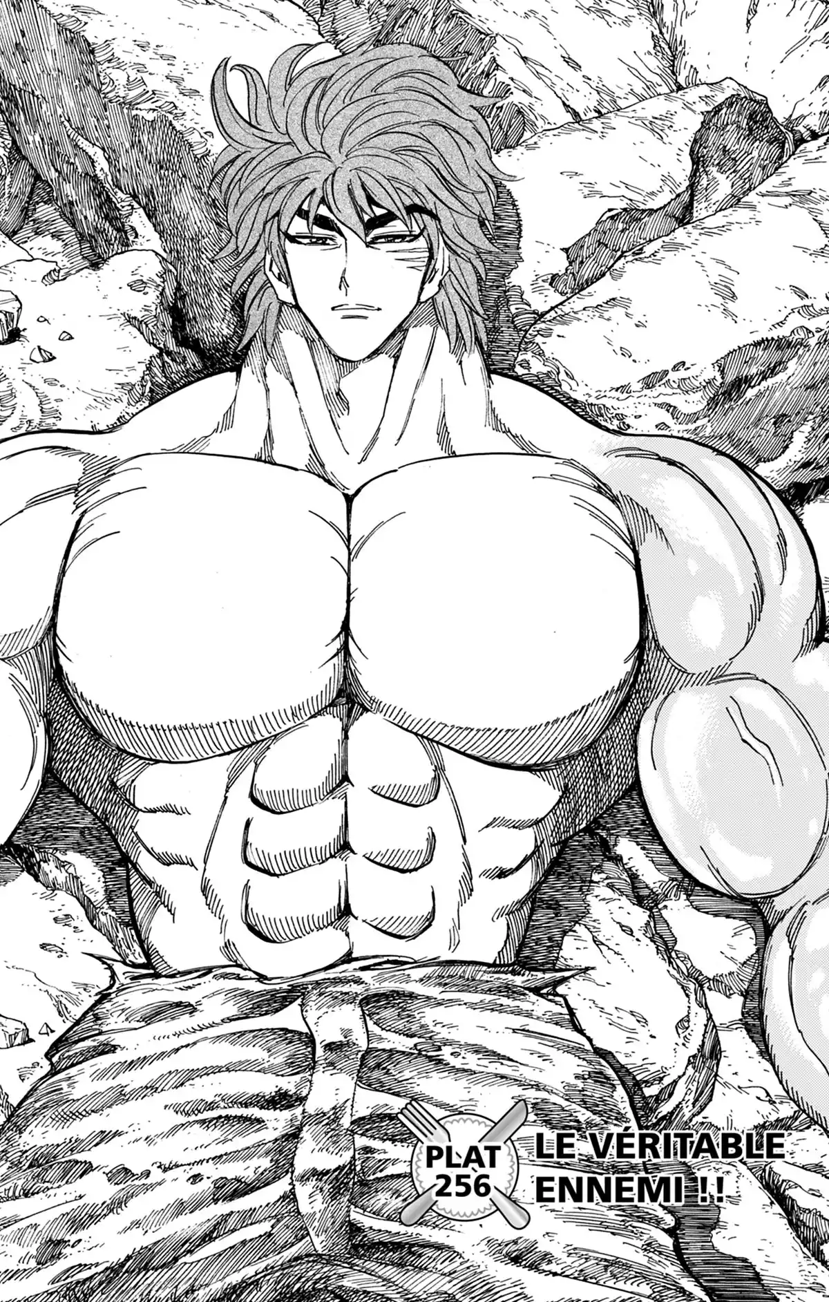 Toriko Volume 29 page 51