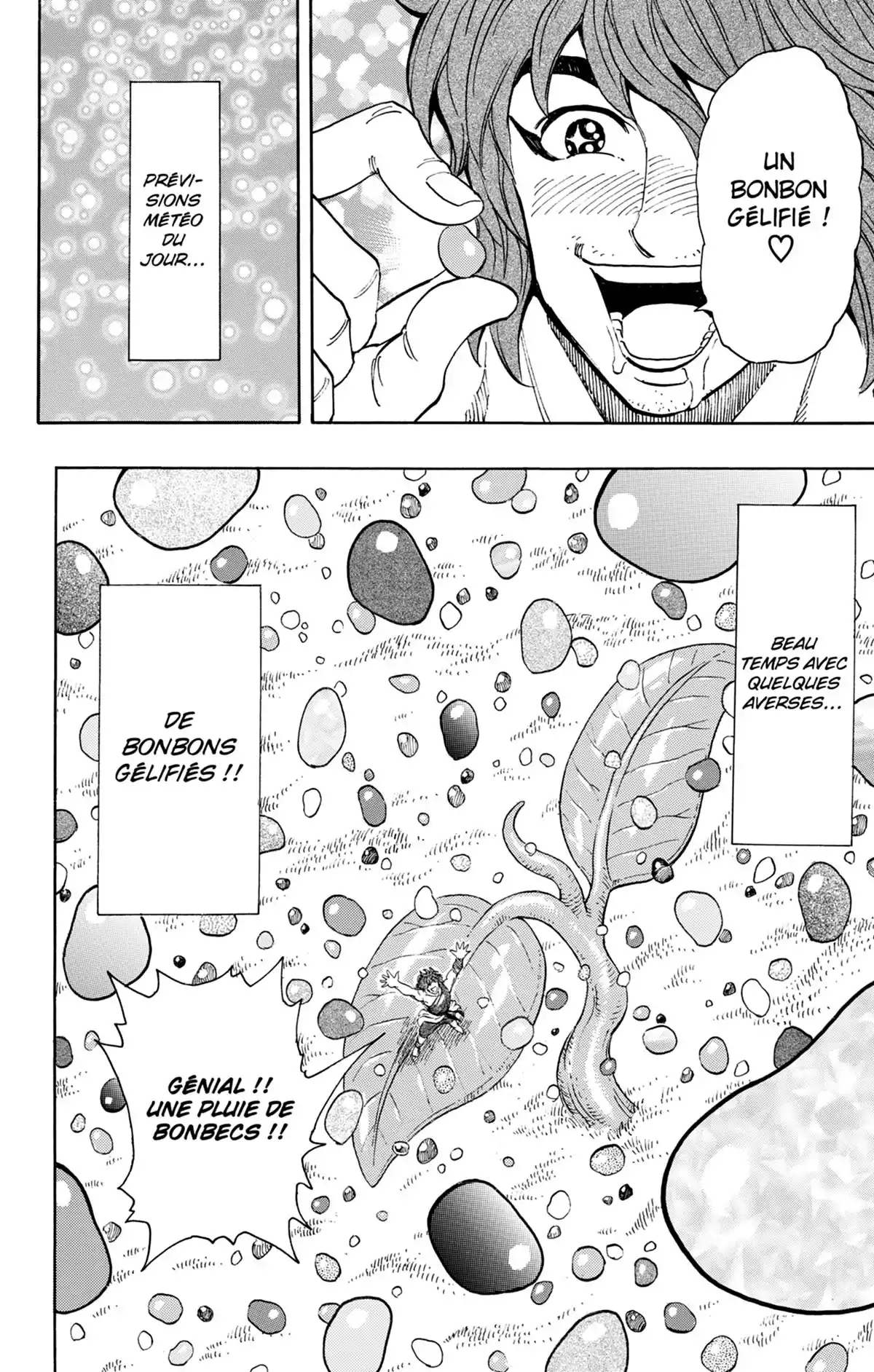 Toriko Volume 30 page 13