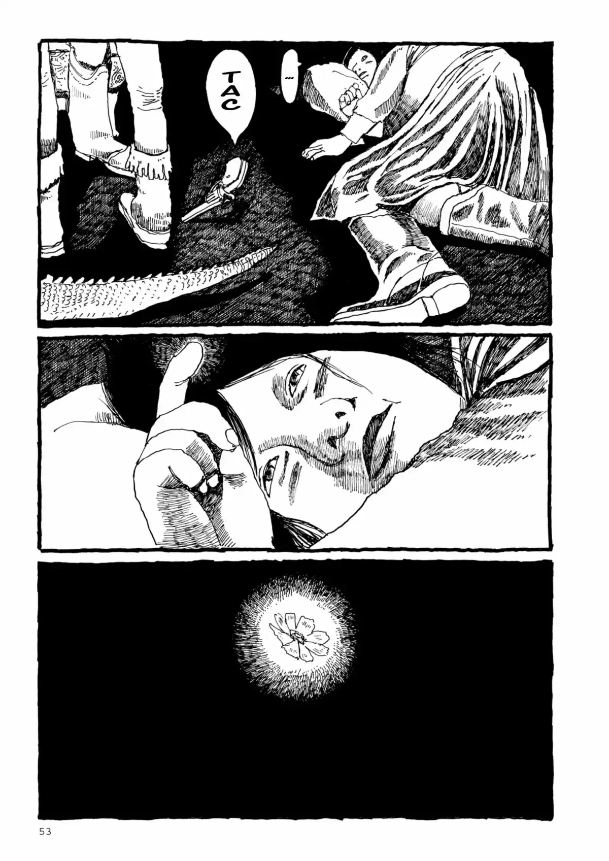 Number 5 Volume 6 page 53