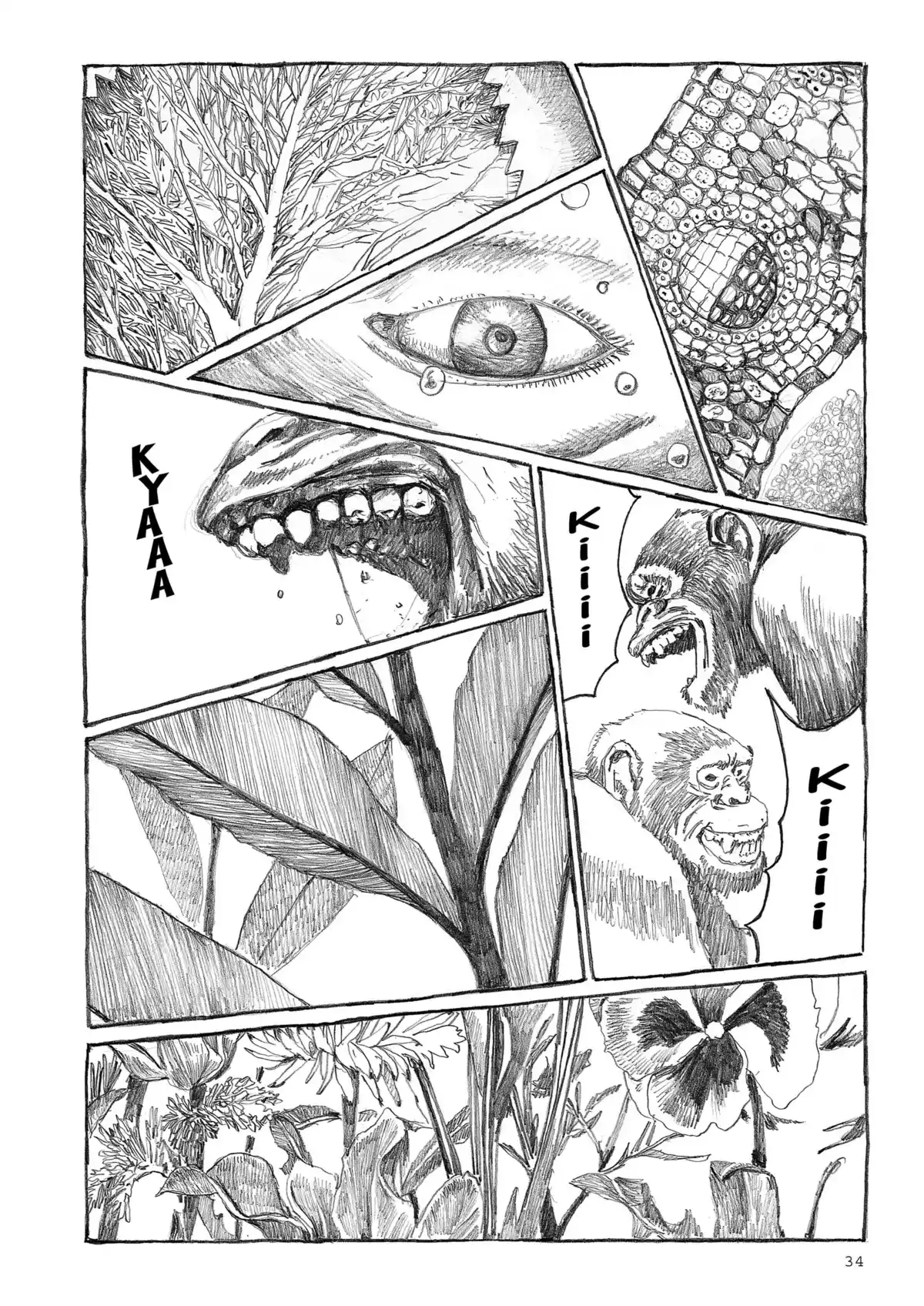 Number 5 Volume 8 page 34