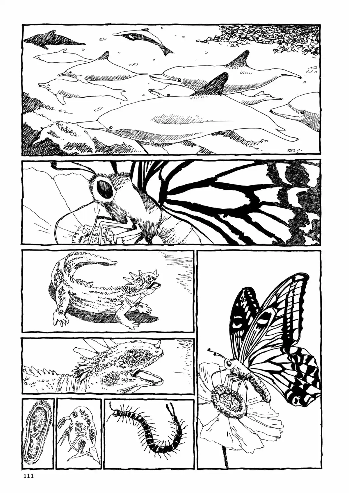 Number 5 Volume 3 page 108