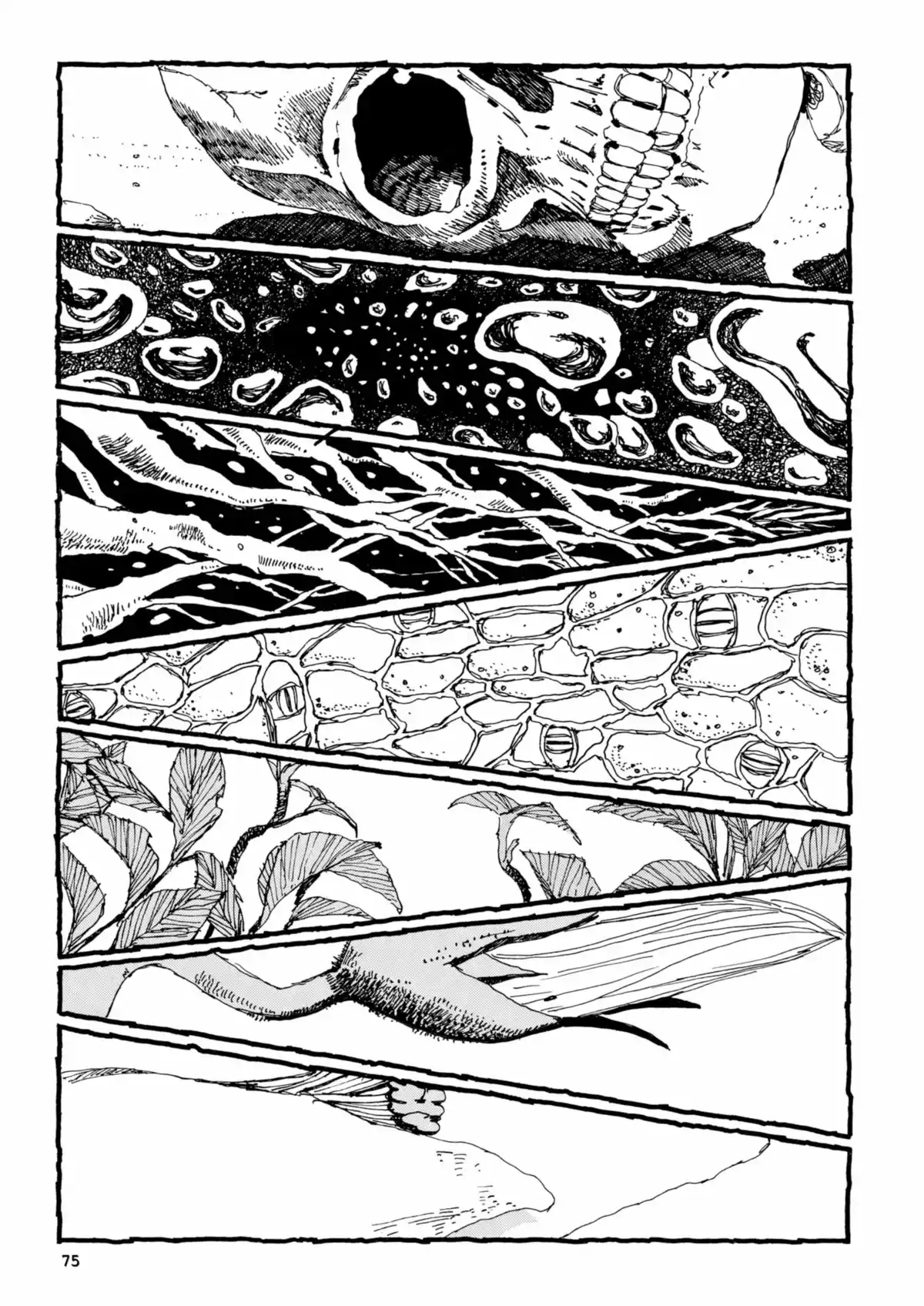 Number 5 Volume 3 page 73