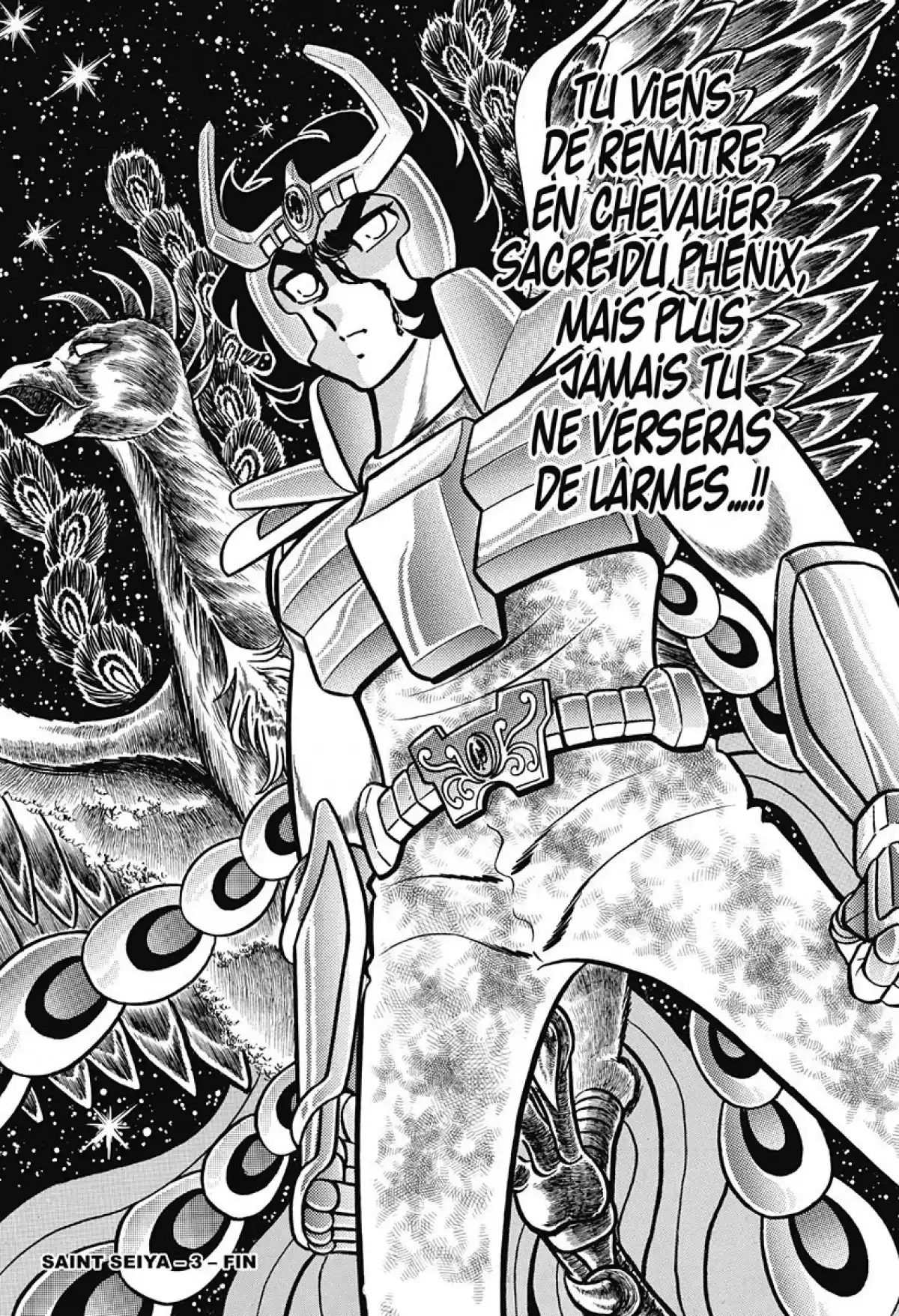 Saint Seiya – Edition Deluxe Volume 3 page 209