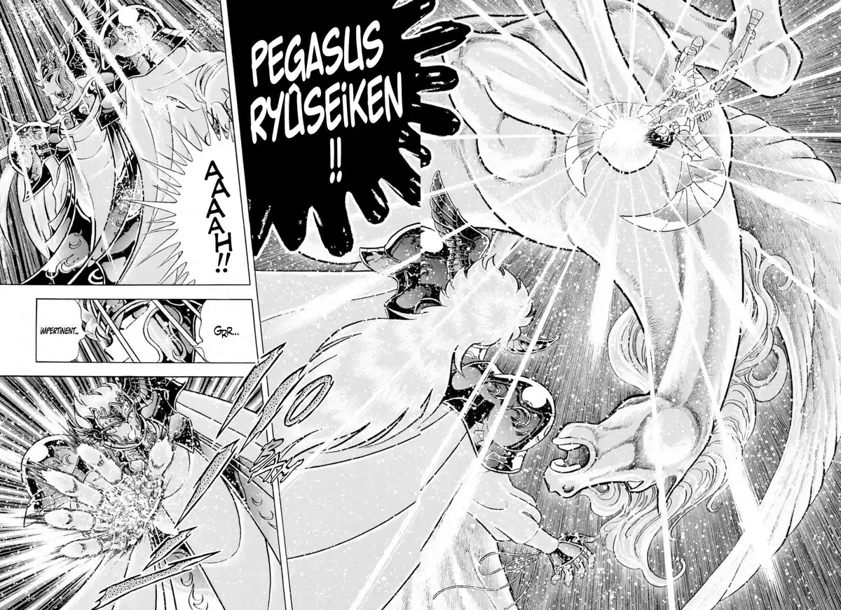 Saint Seiya – Edition Deluxe Volume 21 page 113