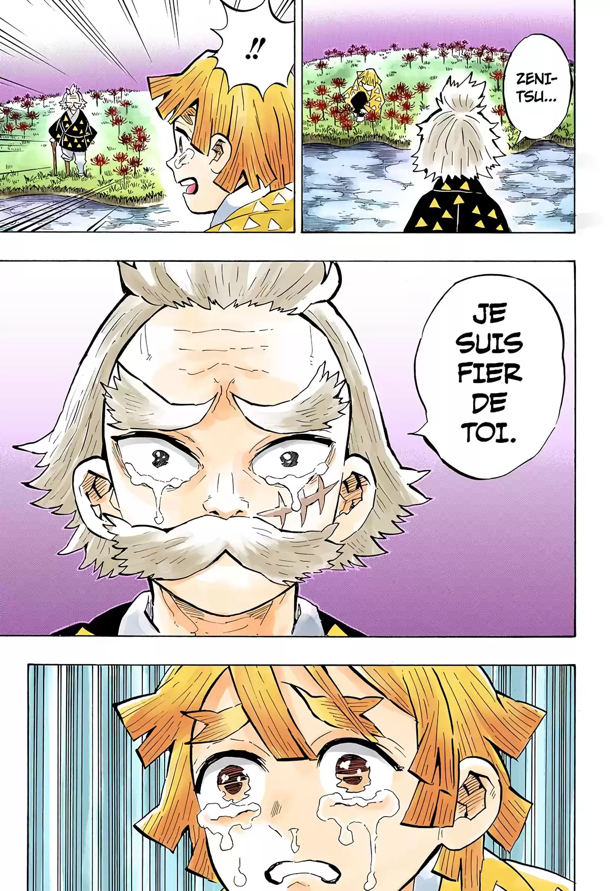 Demon Slayer Volume 17 page 63