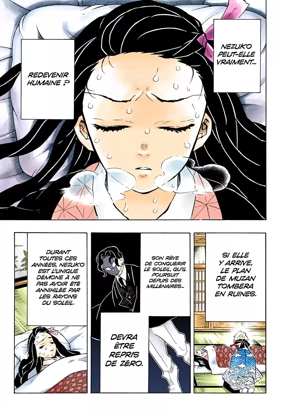 Demon Slayer Volume 17 page 81