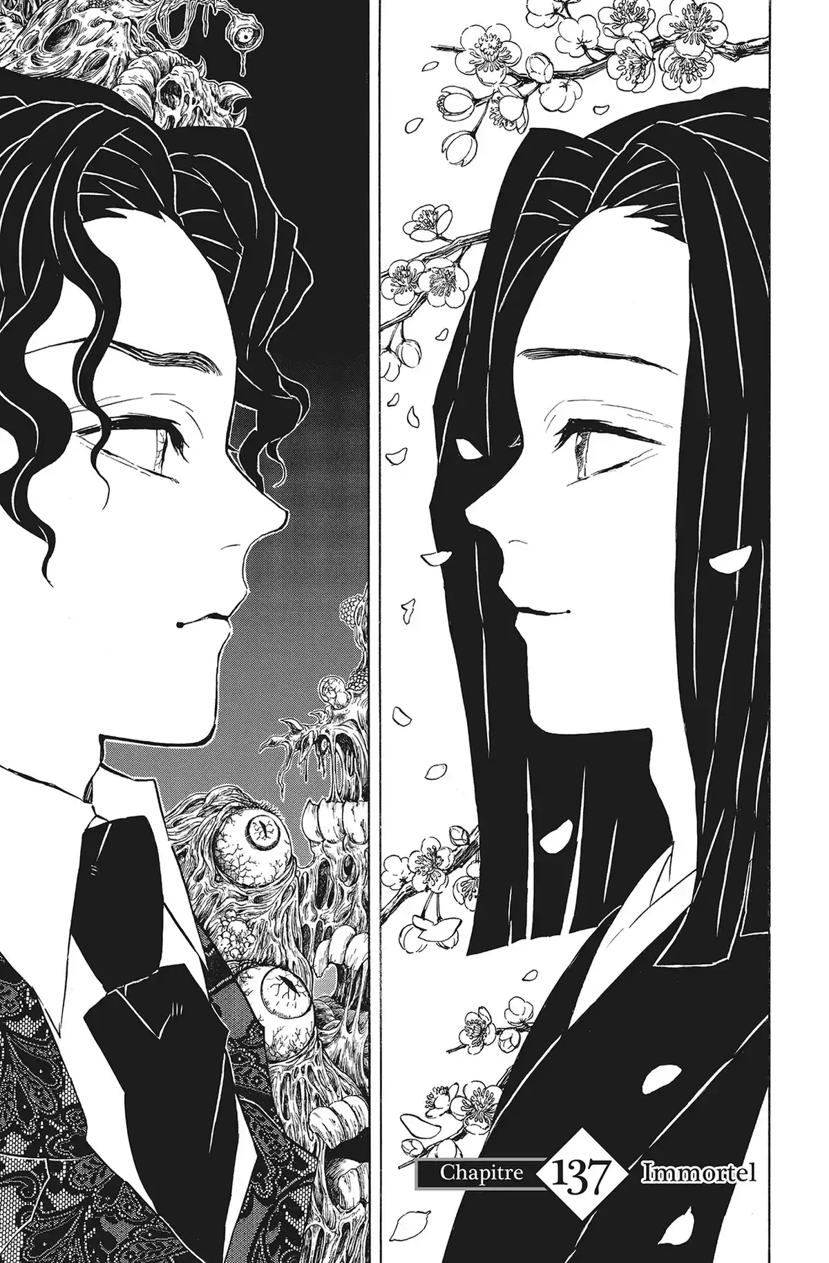Demon Slayer Volume 16 page 66
