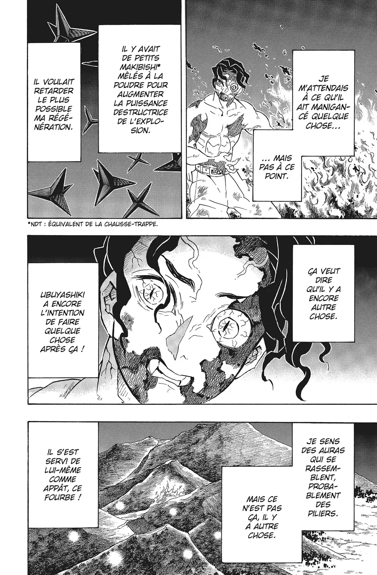 Demon Slayer Volume 16 page 95