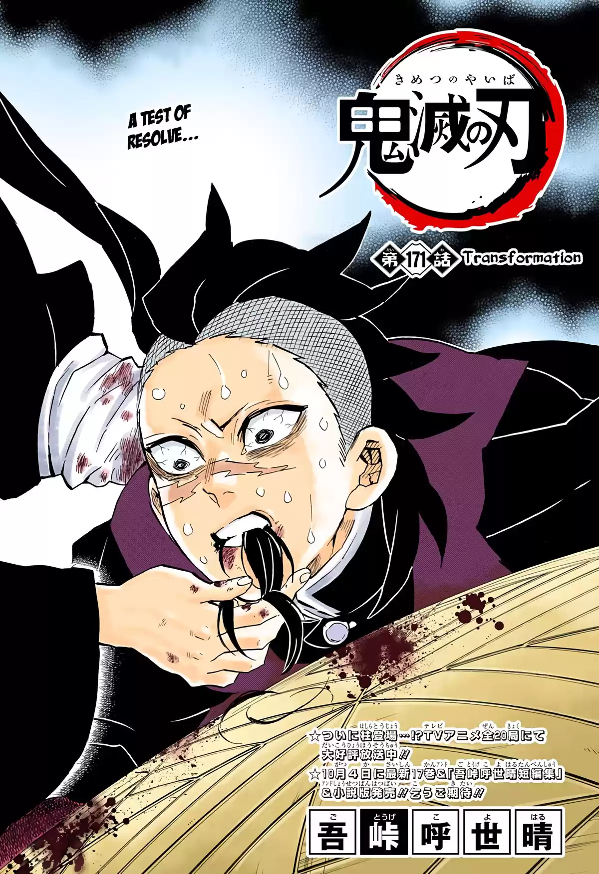 Demon Slayer Volume 20 page 21