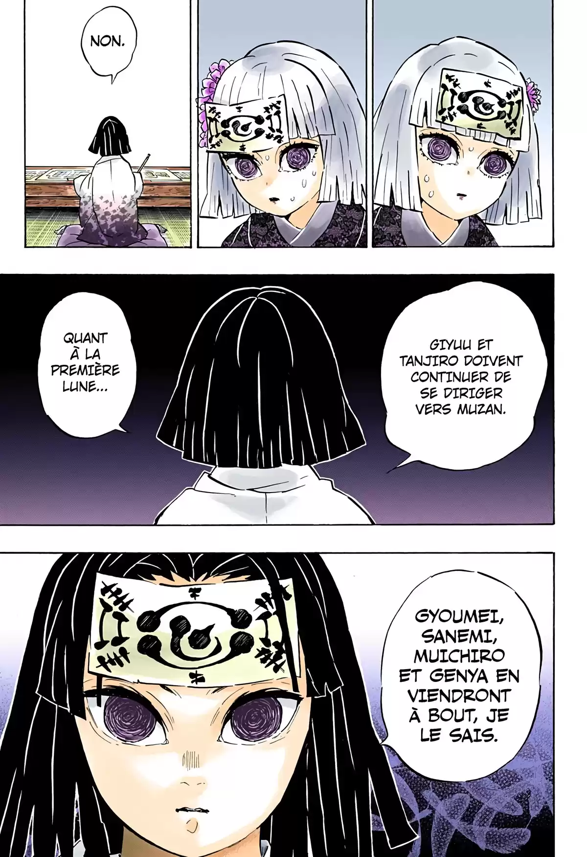 Demon Slayer Volume 20 page 41