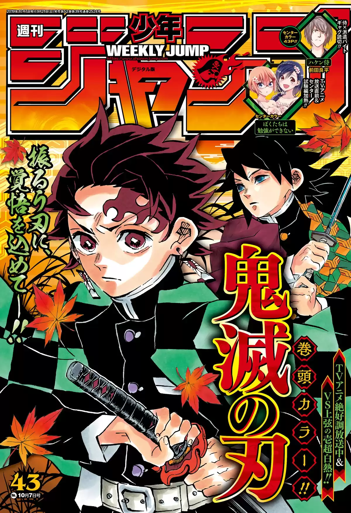 Demon Slayer Volume 20 page 94