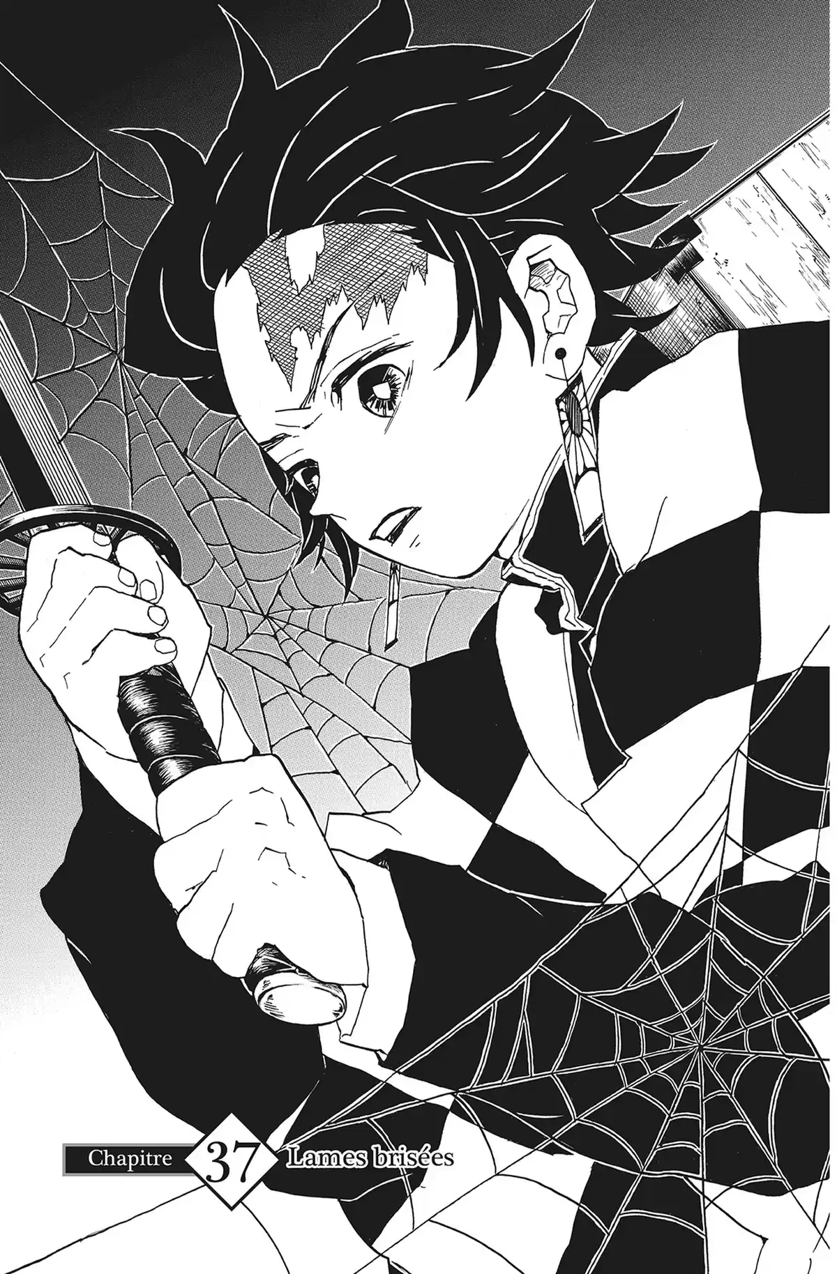 Demon Slayer Volume 5 page 45