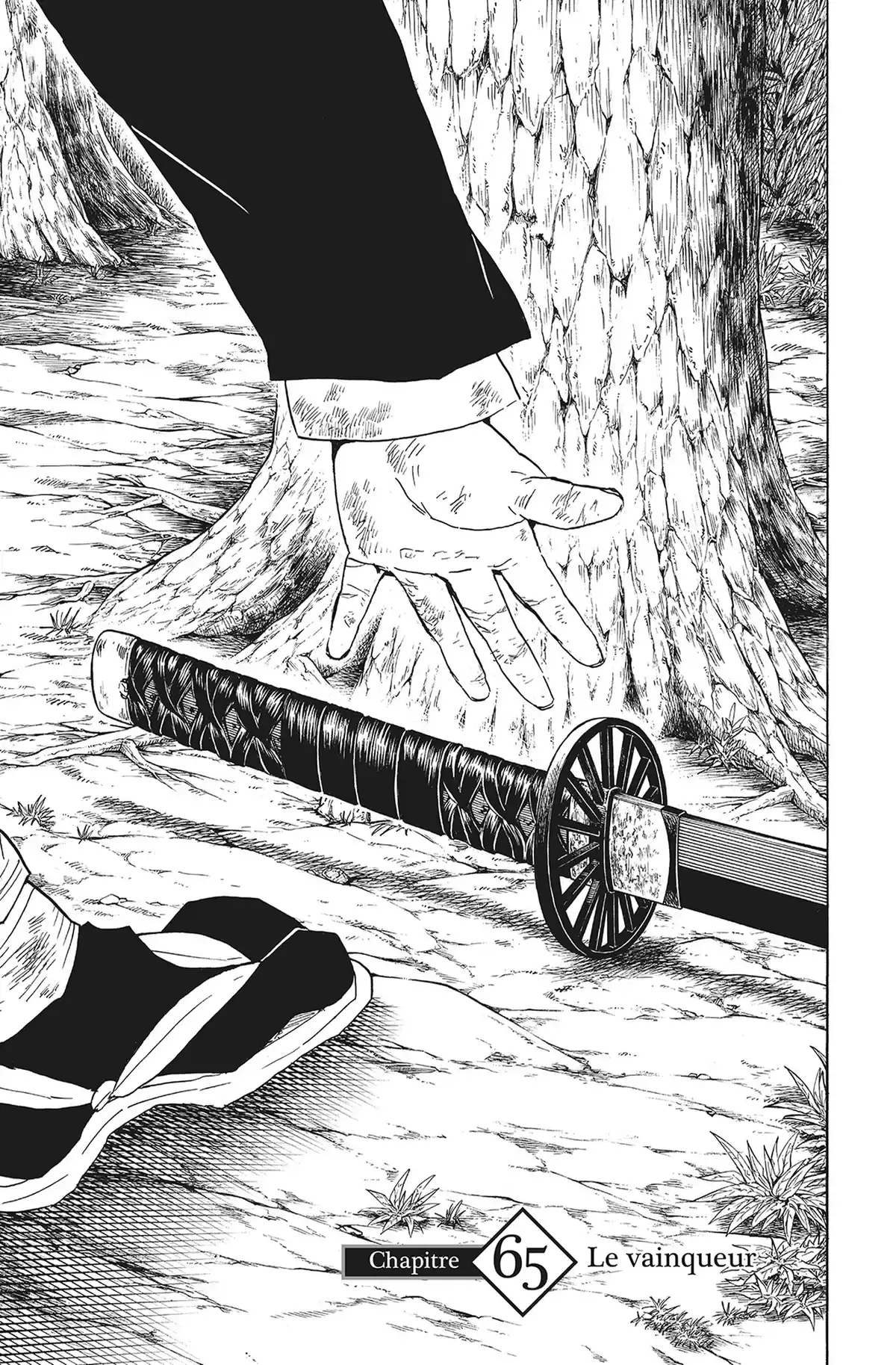 Demon Slayer Volume 8 page 66